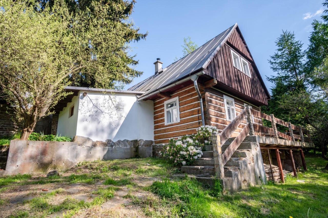 Roubenka Mustelka Apartment Rokytnice nad Jizerou Bagian luar foto