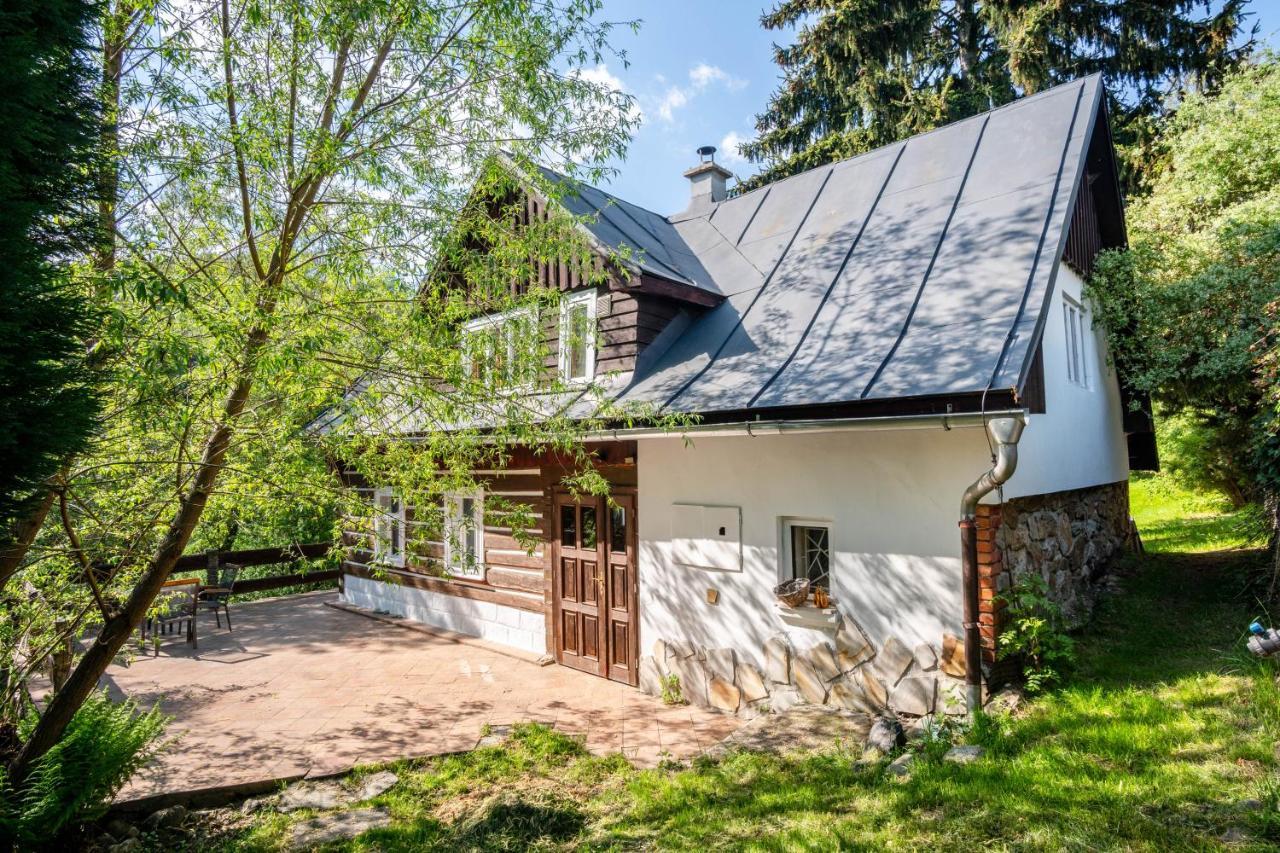 Roubenka Mustelka Apartment Rokytnice nad Jizerou Bagian luar foto