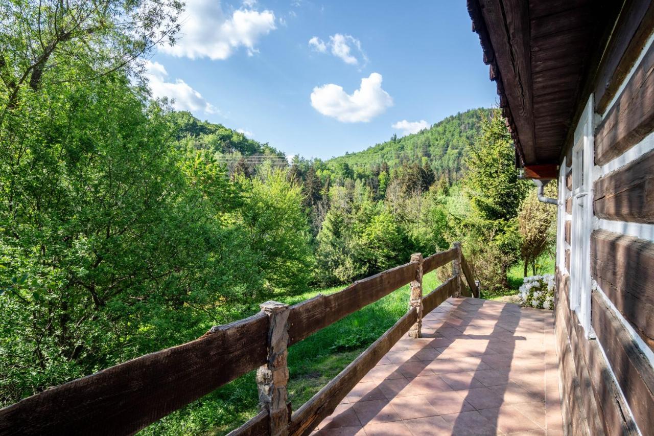 Roubenka Mustelka Apartment Rokytnice nad Jizerou Bagian luar foto